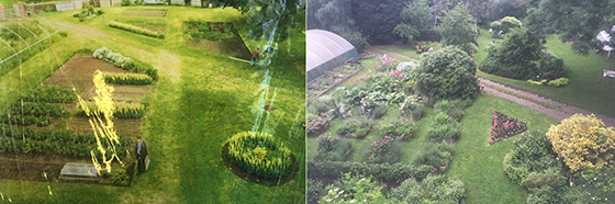 Share Garden before and after
