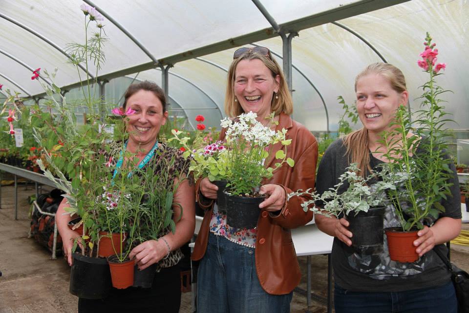 Plants for Sale at the Share Garden