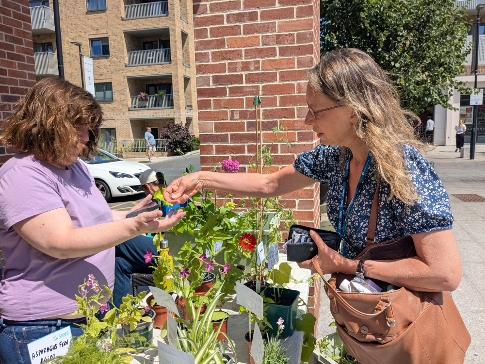 A lady hands some money to another lady selling plants on a stall