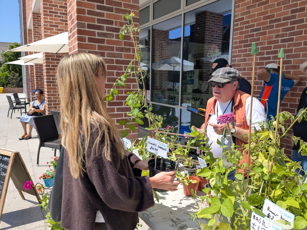 A man serves a customer buying plants on a plant stall