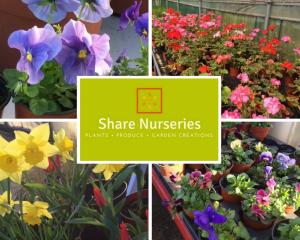 Share Nurseries