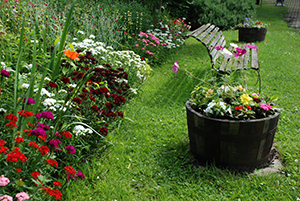 The Share Garden