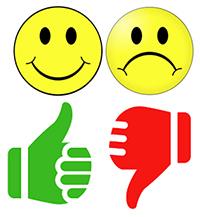 Carers' survey