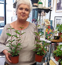 Share plants in Wandsworth Oasis shops