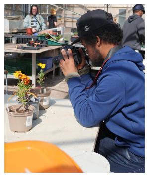 A man takes a close up photo of a plant