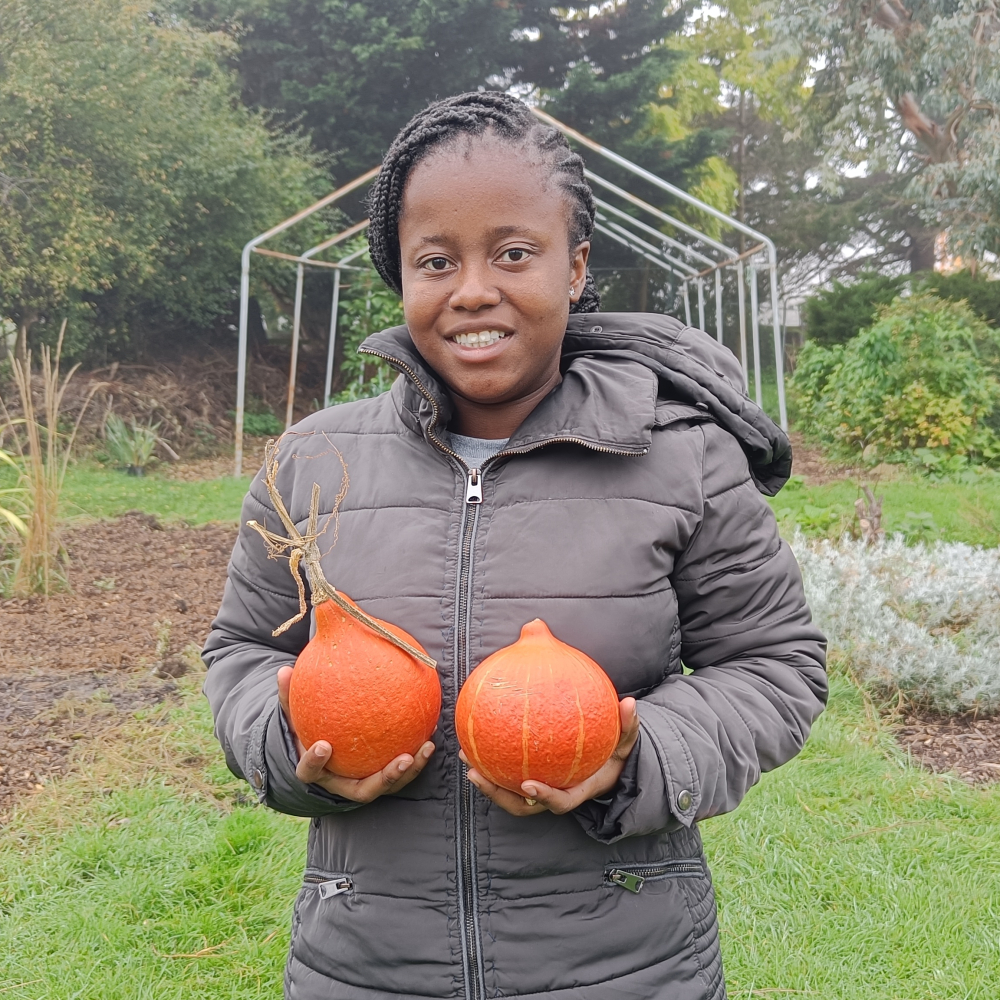 A lady stands in a garden holding two harvested pumpkins.
