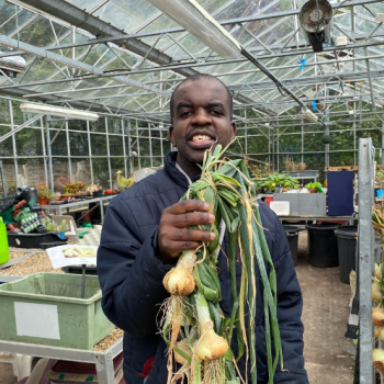 A man stands in a glasshouse holding some onions he's just harvested