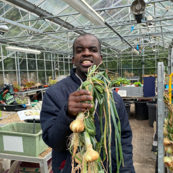 A man stands in a glasshouse holding some onions he's just harvested