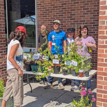 a group of students stand behind a table with plants on top for a plant sale, a customer browses in front of them